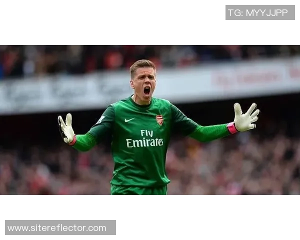 迈尼昂：从青涩小将到世界级门将的蜕变之路